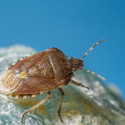 photo_2026-04-18_18-37-03 (2)