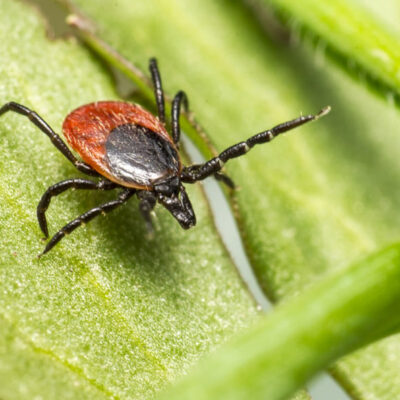 photo_2026-04-18_18-45-21